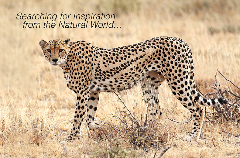 graphics, design, las vegas, photo manipulation, photoshop